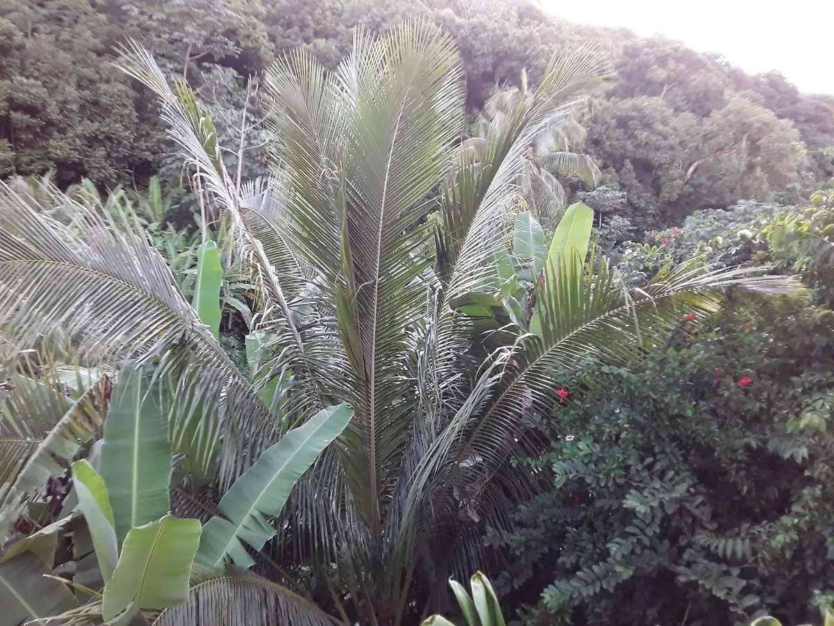 Hotel Royal Vai à Fa'a'ā