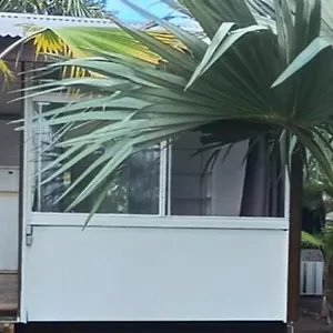 Palm Faaa